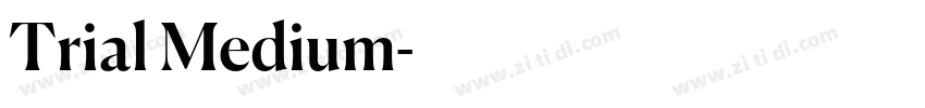 Trial Medium字体转换